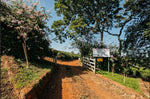 Fazenda Vila Boa - Brazil