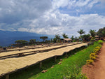 Nkara - Rwanda - Decaffeinated