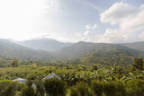 Rwenzori Bugoye - Uganda