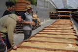 Limited Release - Medina - Guatemala