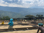 Nkara - Rwanda - Decaffeinated