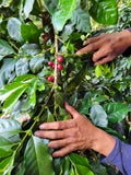La Esperanza - Nicaragua