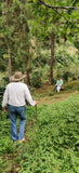 Las Mercedes - Colombia - Decaffeinated